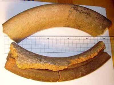 Storage Jar Rim - Grog Tempered Ware