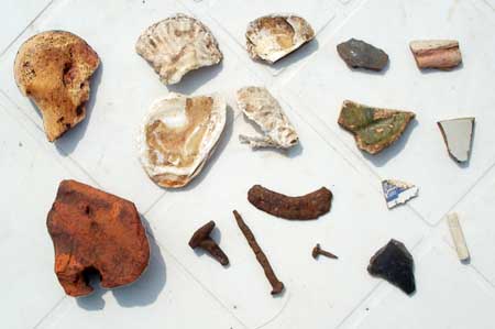 Selection of topsoil finds