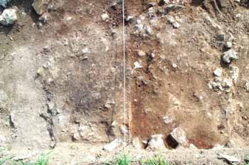 burnt areas in the corridor