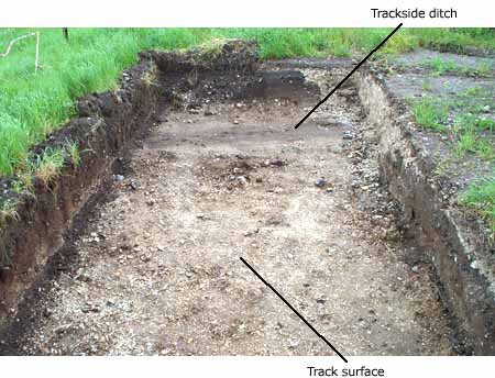 trackway